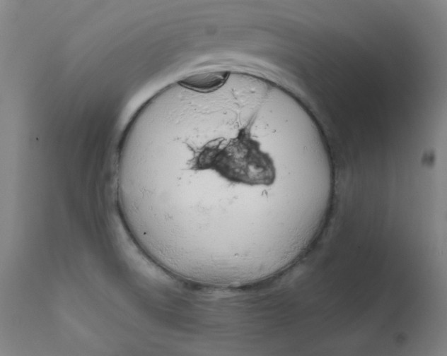 X0000112181522200909041217