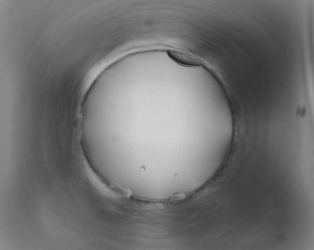 X0000112181524200909041217