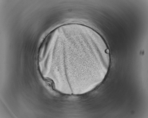 X0000112181525200909041217