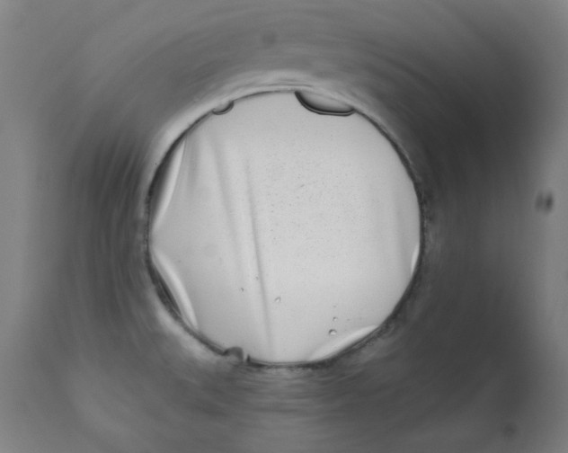 X0000112181527200909041217