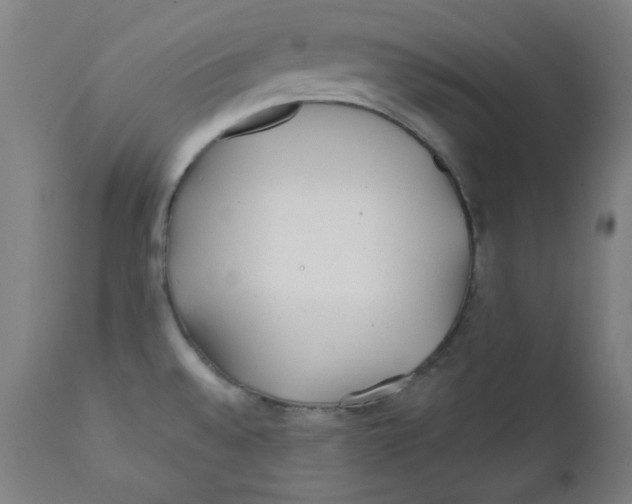 X0000112181528200909041217