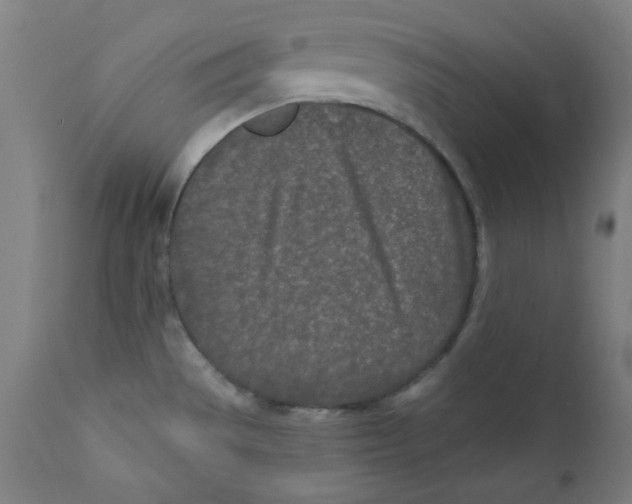 X0000112181529200909041217