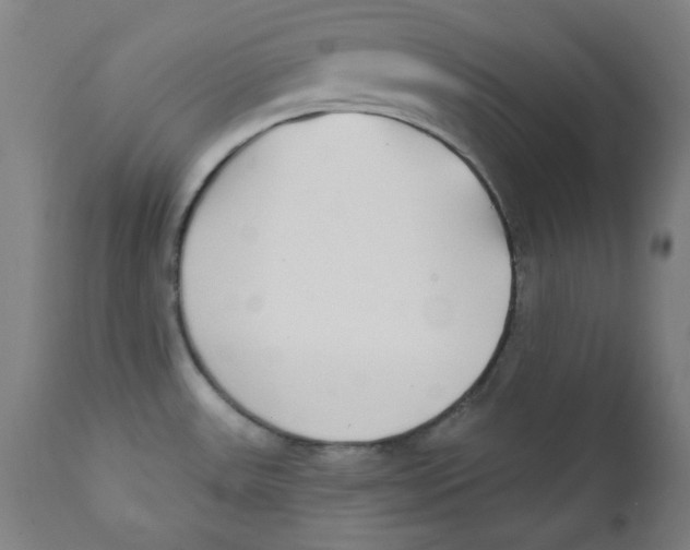 X0000112181531200909041217