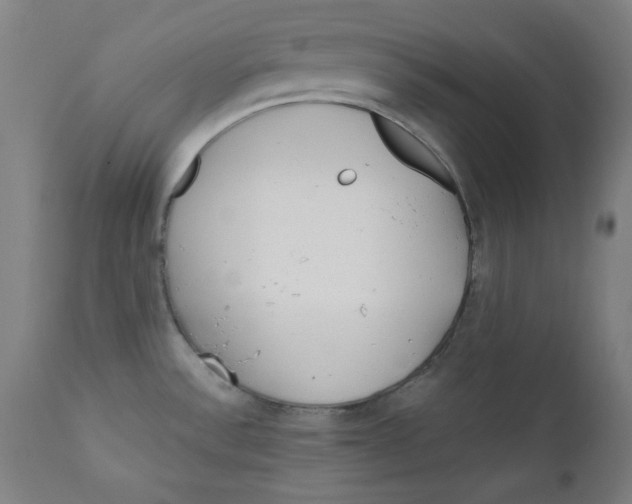 X0000112181532200909041217