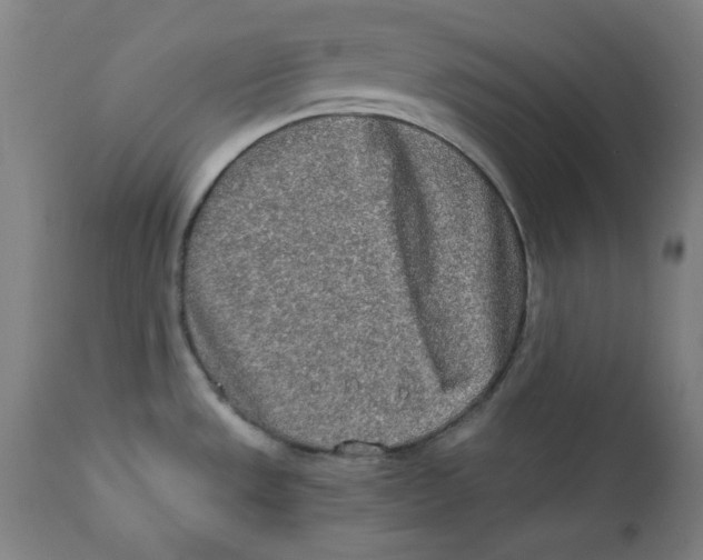 X0000112181533200909041217