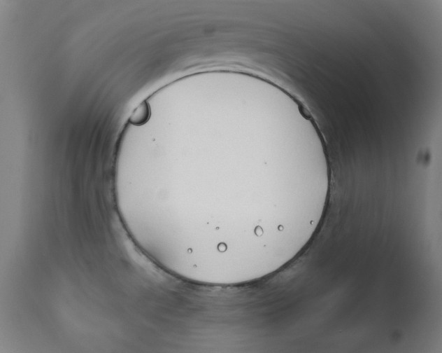 X0000112181534200909041217