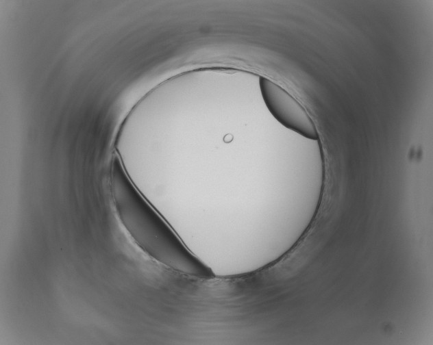 X0000112181536200909041217