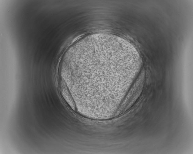 X0000112180002200909181443