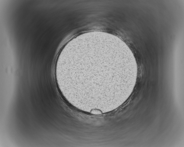 X0000112180004200909181443