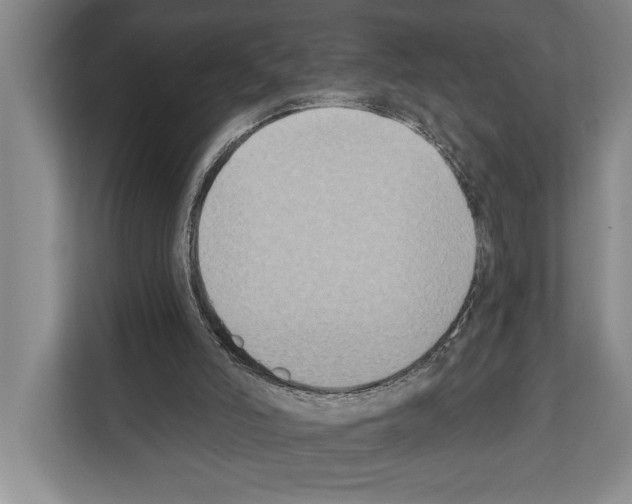 X0000112180006200909181443