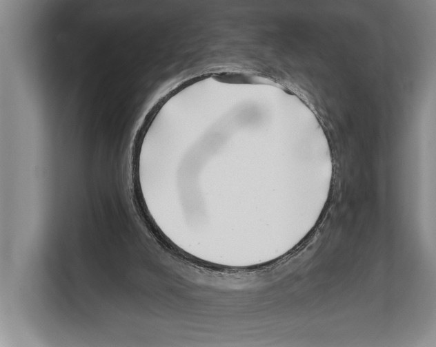 X0000112180008200909181443