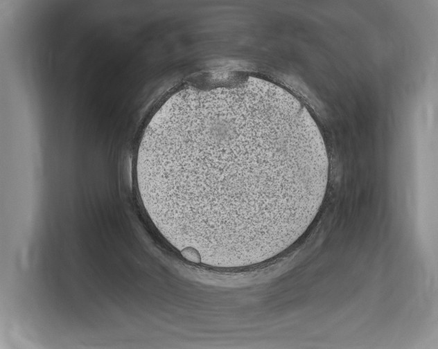 X0000112180014200909181443