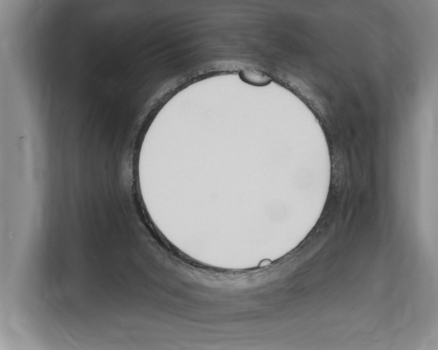 X0000112180015200909181443