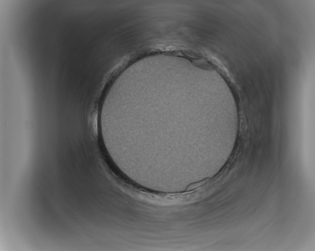 X0000112180019200909181443