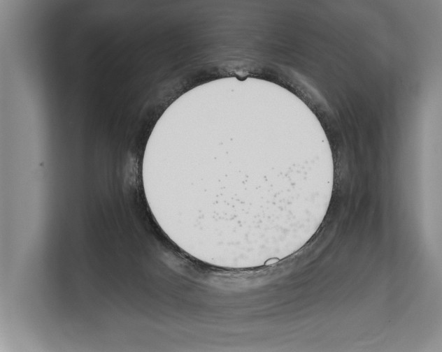 X0000112180025200909181442