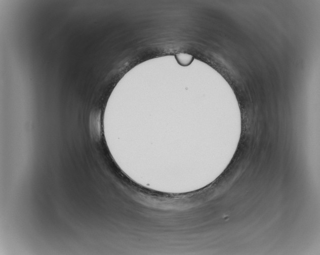 X0000112180028200909181442