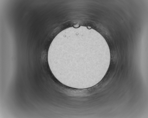 X0000112180036200909181442