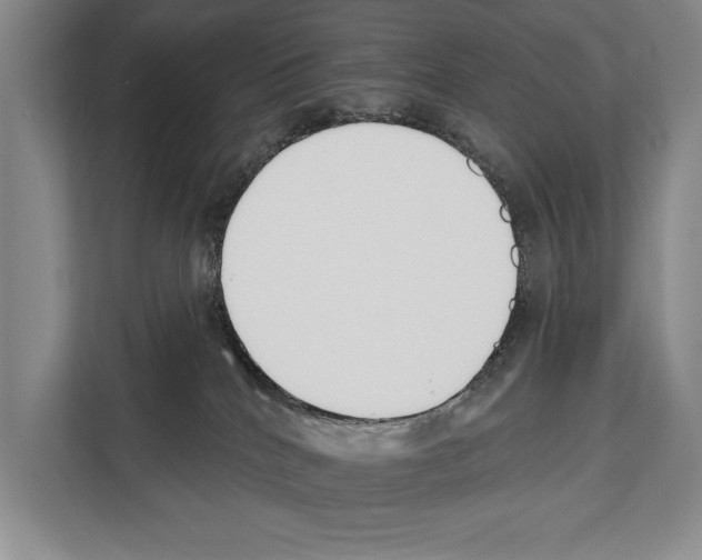 X0000112180040200909181442