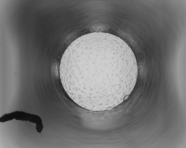 X0000112180042200909181442