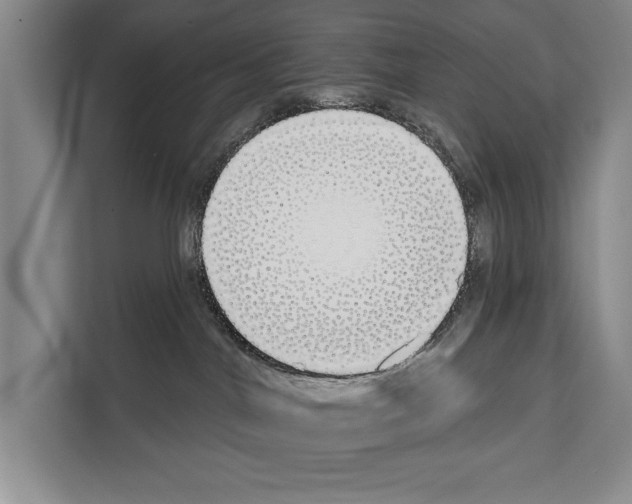 X0000112180044200909181442