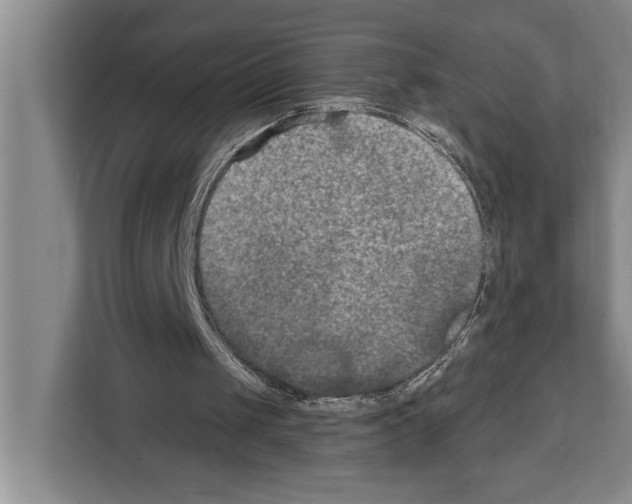 X0000112180049200909181442