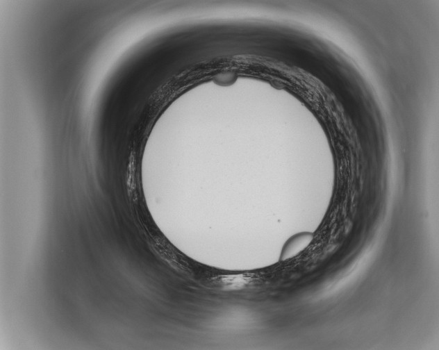 X0000112180050200909181442