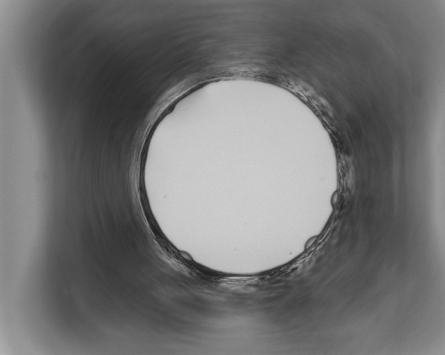 X0000112180051200909181442