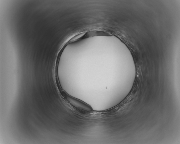 X0000112180052200909181442