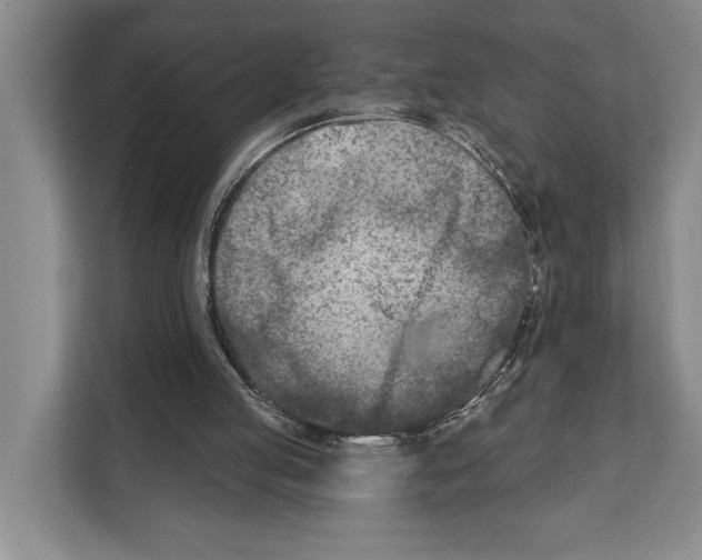 X0000112180053200909181442