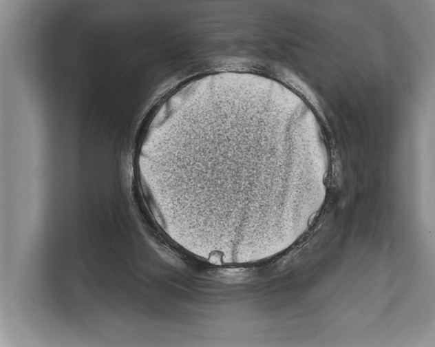 X0000112180059200909181442