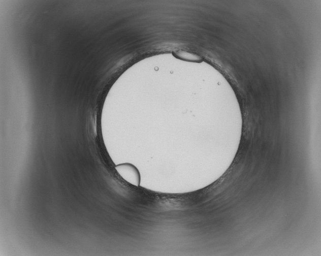 X0000112180062200909181442