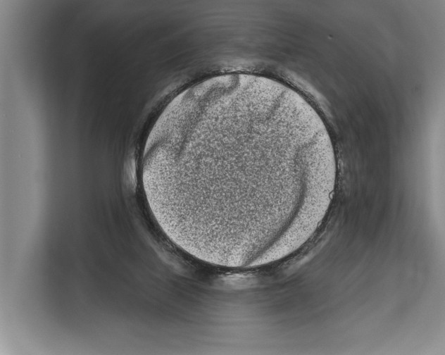 X0000112180067200909181442
