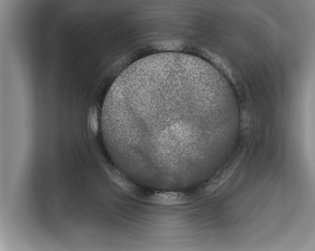X0000112180069200909181442