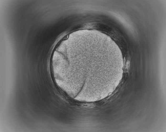 X0000112180099200909181441