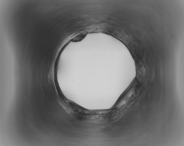 X0000112180100200909181441