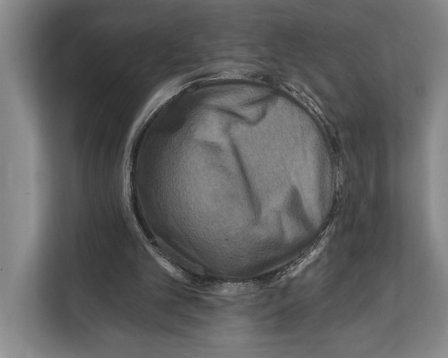X0000112180101200909181441