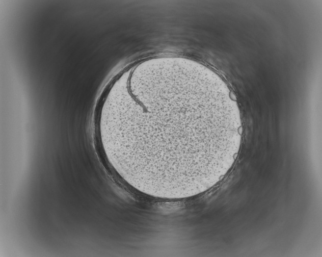 X0000112180102200909181441