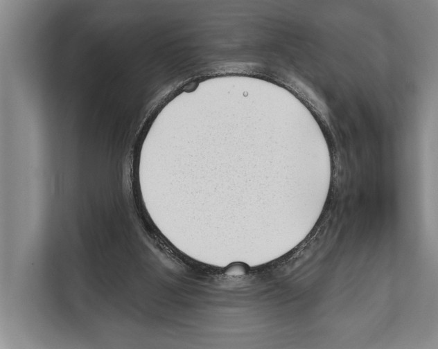 X0000112180107200909181441