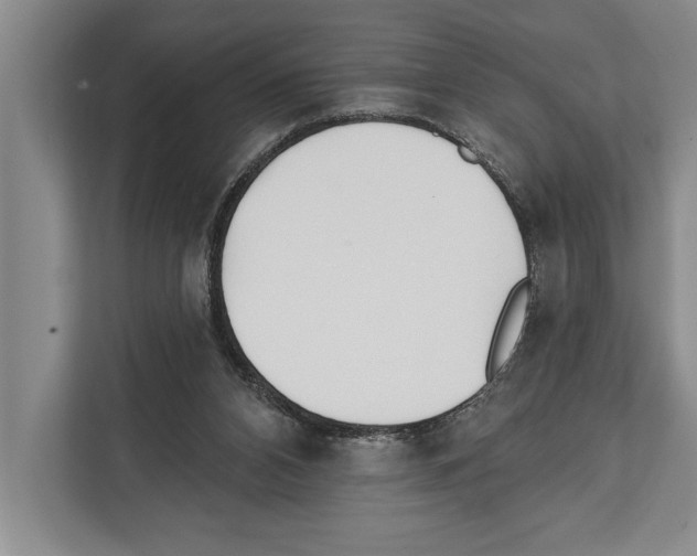 X0000112180112200909181441