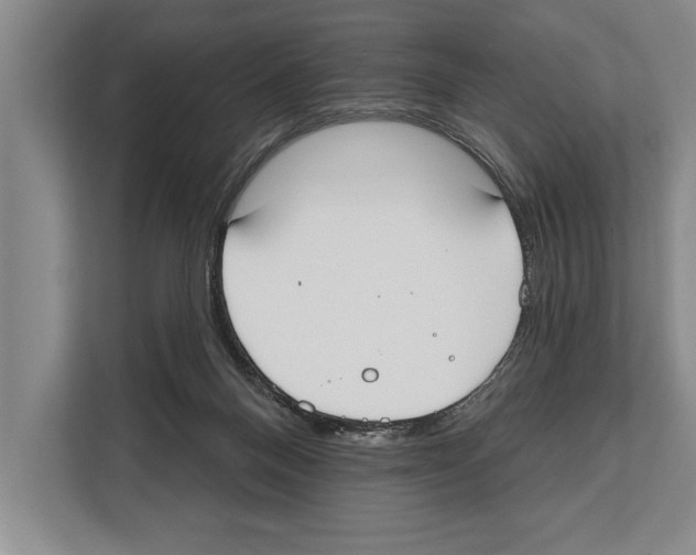 X0000112180120200909181441