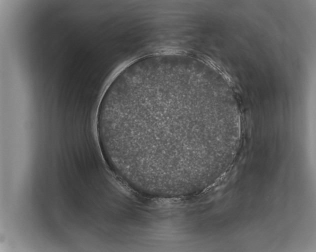X0000112180147200909181440