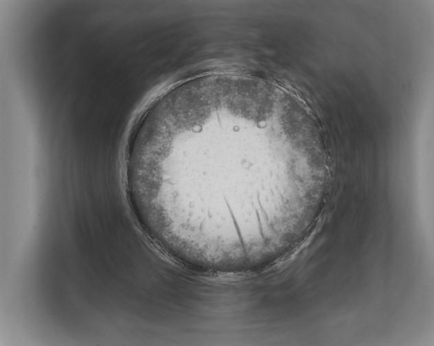 X0000112180149200909181440