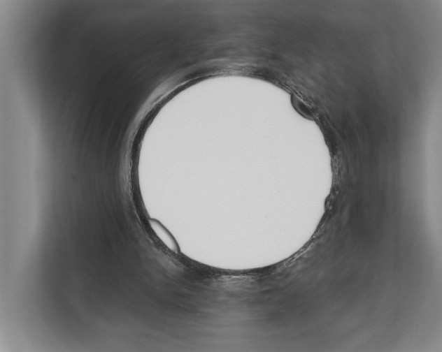 X0000112180150200909181440