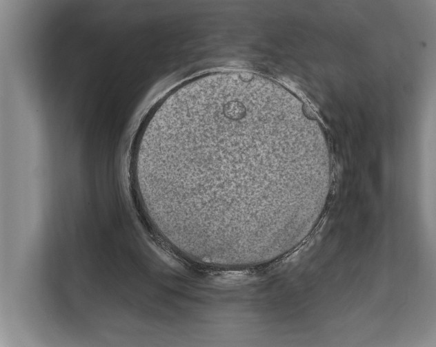 X0000112180151200909181440