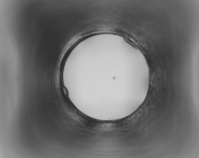 X0000112180152200909181440
