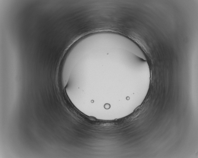 X0000112180156200909181440