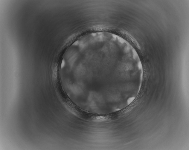 X0000112180163200909181441