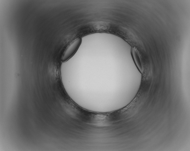 X0000112180176200909181441