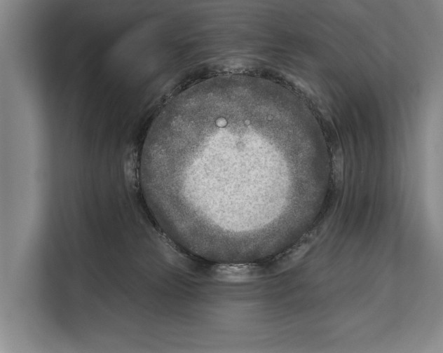 X0000112180181200909181441