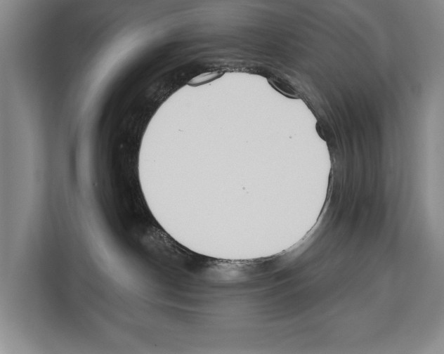 X0000112180190200909181441